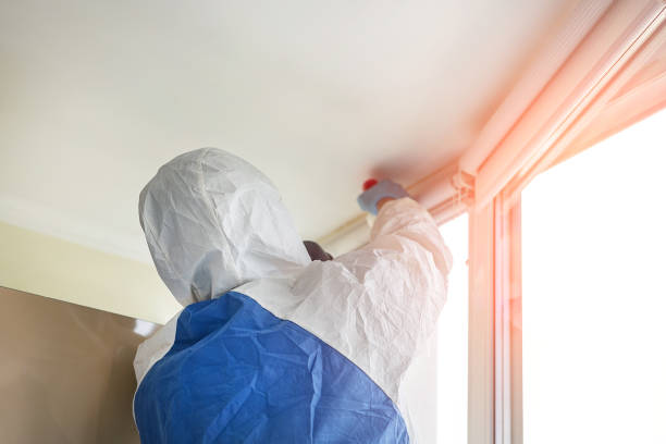 Why You Should Choose Our Mold Remediation Services in Waverly, NY